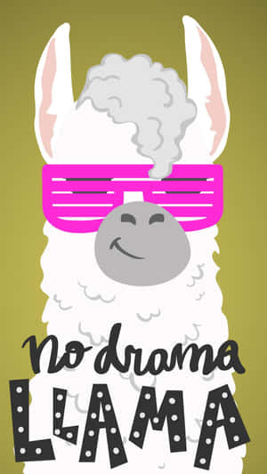 一隻卡通羊駝戴著粉紅色太陽眼鏡，頭頂冒著蒸氣，並有「No Drama Llama」文字。 — 野生動物 壁紙