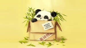 一隻卡通熊貓在一個易碎的盒子裡，周圍散落著竹葉。 — 可愛動物動圖 壁紙