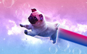 一隻巴哥犬幼犬在充滿泡泡和星星的多彩宇宙空間中漂浮。 — 彩虹美學 壁紙