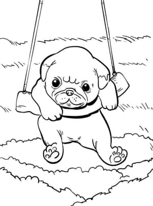 一隻巴哥犬幼犬坐在草地上的鞦韆，輪廓線條供著色。 — 狗狗藝術 壁紙