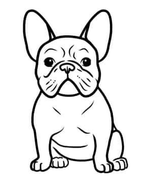 一幅黑白線條畫，畫著一隻坐著的法國鬥牛犬，有大眼睛。 — 狗狗藝術 壁紙