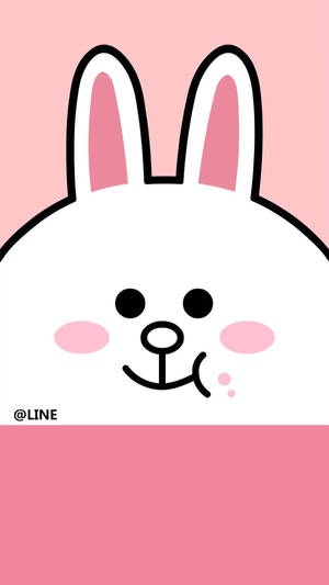 一隻微笑的卡通兔，有粉紅色的臉頰和耳朵，在粉紅色背景上。 — Line Friends 壁紙
