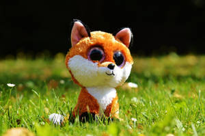 一個可愛的毛絨狐狸玩具在晴朗的日子裡坐在綠色草地上。 — Beanie Boos 壁紙