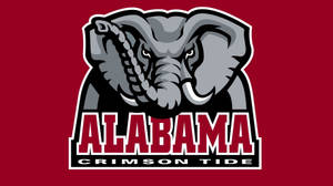 Crimson Tide 足球隊標誌，有一隻灰色大象拿著繩索。 — 阿拉巴馬紅潮 壁紙