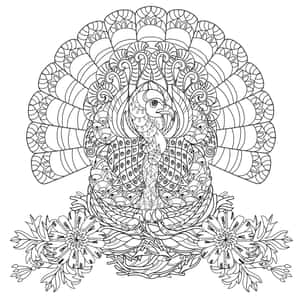 一隻風格化的孔雀，帶有複雜的圖案和周圍的花朵，以黑白線條藝術呈現。 — 可愛感恩節 壁紙