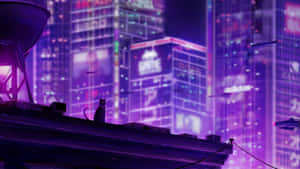 屋頂上的黑貓在夜晚觀看發光的紫色霓虹城市 — 創意 壁紙