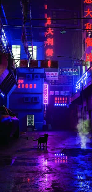 黑貓站在夜晚霓虹燈照亮的雨巷中 — 紅色美學 iPhone 壁紙