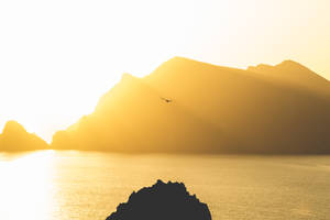 一隻鳥在日落時飛越水面，背景有山巒。 — 海洋 壁紙