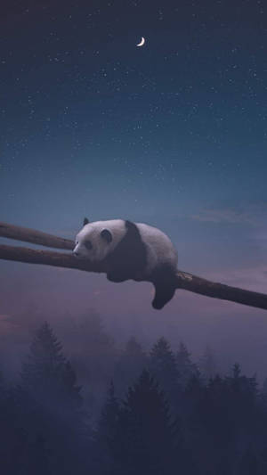 熊貓在繁星點點的夜空下，伴隨著新月在樹枝上睡覺。