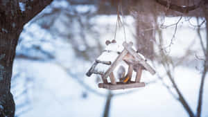 一隻鳥在冬天掛在樹上的被雪覆蓋的木製餵食器內拍動翅膀。 — 可愛的雪 壁紙
