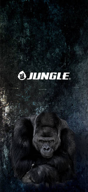 一隻眼神強烈的大猩猩，背景為深色紋理，帶有「JUNGLE」標誌。 — 大猩猩 壁紙