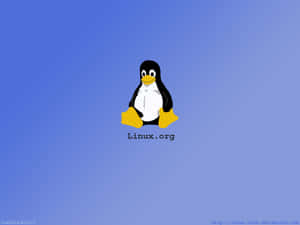 Linux.org 的卡通企鵝吉祥物，背景為藍色漸變 — 企鵝 GIF 壁紙