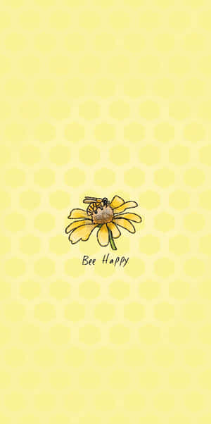 黃色花上的蜜蜂，蜂巢背景和 Bee Happy 字樣。 — 花朵 壁紙