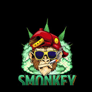 戴帽和太陽眼鏡的猴子，與大麻葉和煙霧一起吸煙。 — 大笑 壁紙