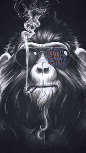 戴著太陽眼鏡的猴子抽煙，煙霧上升。 — 大猩猩 壁紙