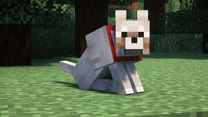 一隻戴著紅色項圈的像素化狗坐在Minecraft森林的草地上。 — 可愛 Minecraft 壁紙