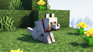 一隻戴著紅色項圈的像素狗坐在Minecraft世界中黃色花朵附近的草地上。 — 我的世界 壁紙