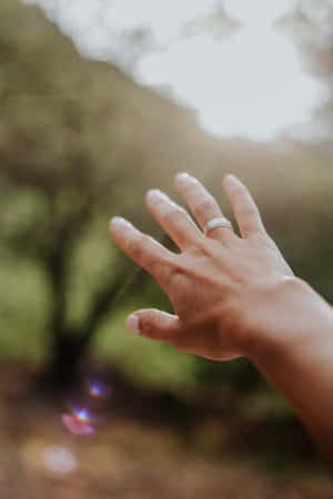 一隻戴著結婚戒指的手在森林中伸向陽光。 — 手牽手 壁紙