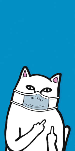 戴著口罩的卡通貓豎起中指。 — 小貓 壁紙