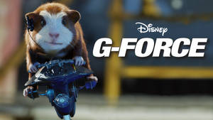 戴頭盔天竺鼠騎著帶G-FORCE標誌的未來風格滑板車。 — G力特攻隊 壁紙