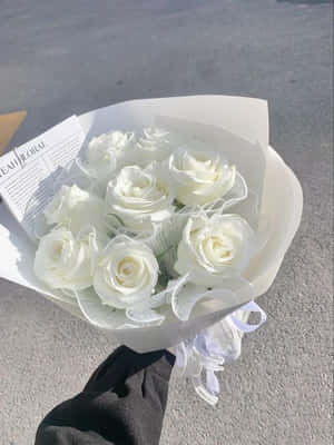 手在路面上拿著白玫瑰花束 — 白色美學動圖 壁紙