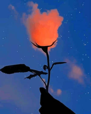 手在繁星夜空下持發光玫瑰