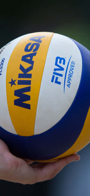 手拿著Mikasa FIVB認可的排球，帶有藍色、黃色和白色面板。 — iPhone 16 Pro 壁紙
