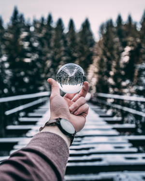 手拿水晶球反射出木橋上的雪林。 — 水晶 壁紙