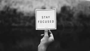 手拿著一個黑白寫著 stay focused 的標誌。 — 焦點 壁紙