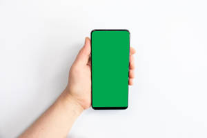 手拿綠色螢幕智慧型手機在白色背景上 — 簡約 壁紙