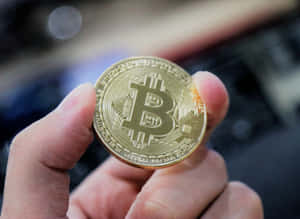 手拿著一枚帶有電路設計的金色比特幣硬幣。 — 比特幣 GIF 壁紙