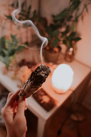 手拿著燃燒的鼠尾草，煙霧在發光的燈和植物附近升起。 — 靈性動圖 壁紙