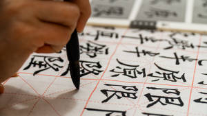 手在格子紙上用毛筆書寫中國書法。 — 黑板 壁紙