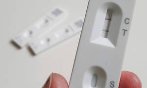 一隻手拿著陽性快速測試條，顯示兩條線。 — 醫療 壁紙
