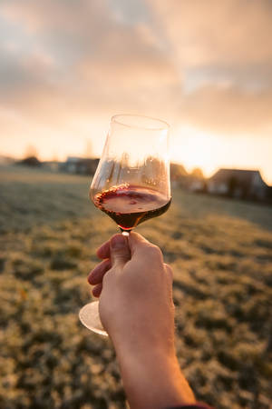 夕陽下霜凍田野上舉起酒杯的手 — 葡萄酒 壁紙