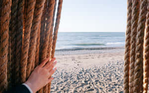一隻手觸摸粗繩索，俯瞰沙灘和海洋。 — 平靜 GIF 壁紙