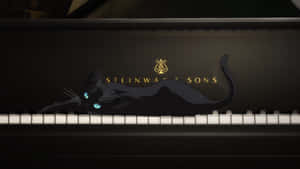 黑貓發光的藍色眼睛在 Steinway 標誌附近的鋼琴琴鍵上休息。 — 四月是你的謊言 壁紙