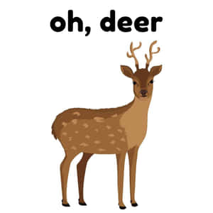 有鹿角的卡通鹿和文字 oh deer — 卡通 壁紙