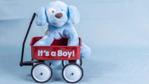 藍色毛絨小狗在紅色嬰兒手推車中，帶有「It's a Boy!」文字。 — 男孩 壁紙