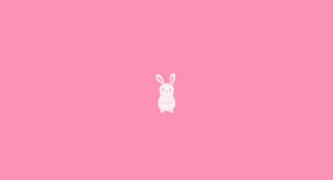 在粉色背景上簡單的白色線條兔子圖畫。 — 兔子 GIF 壁紙