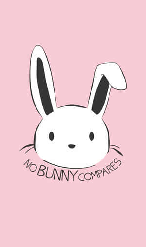 可愛的卡通兔子，粉紅色背景上寫著 no bunny compares — 兔子 GIF 壁紙