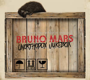 毛茸茸的動物在一個有Bruno Mars專輯名的木箱上睡覺。 — 火星人布魯諾 壁紙