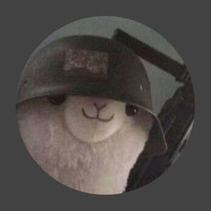一隻穿著軍用頭盔的毛絨羊駝拿著玩具步槍。 — 動物 壁紙