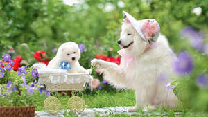 一隻戴著花帽的母犬在花園裡推著載有幼犬的嬰兒車。 — 可愛小狗 壁紙