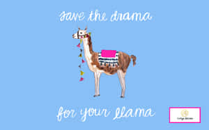 一隻裝飾有流蘇和粉紅色鞍座的羊駝，上面寫著 save the drama for your llama。 — 悲傷語錄 壁紙