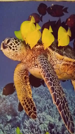 海龜與黃色和深色魚兒在珊瑚礁附近游泳 — 魚 GIF 壁紙