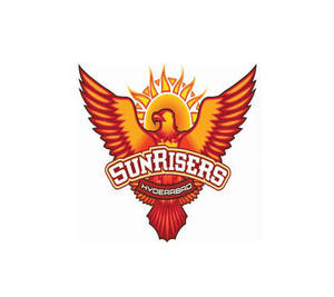 SunRisers Hyderabad 體育隊伍標誌，特色是一隻從太陽升起的火鳳凰。 — 海德拉巴日出者 壁紙