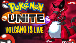 戴著太陽眼鏡的紅色龍系寶可夢，旁邊是遊戲標題「Pokémon Unite Volcano is Live」。 — 黑川伊佐那 壁紙