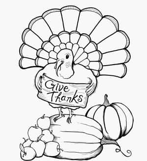 火雞拿著 Give Thanks 標語牌，配南瓜和蘋果 — 榮耀Magic V 壁紙