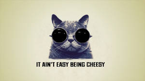 一隻灰色貓咪戴著圓形黑色太陽眼鏡，文字寫著「IT AIN'T EASY BEING CHEESY」。